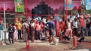 durga. mandir. madhubani. forbesganj. mala.ka.video. hai.2023 araria Bihar ahmara