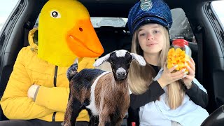 Police Surprises Puppy and Police with Car Ride Dream by Ducky life