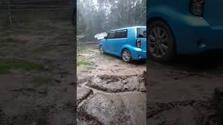 Sudden downpour of rain in the NSW rainforest