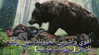 اقوي واشرس الحيونات علي وجه الارض (حيونات مرعبه)