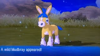 [WSHC #3] LIVE! Full Odds Shiny Mudbray after 9,998 REs in Pokemon Sun!! (Phase 2)