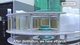 Energy: Cellulosic Ethanol