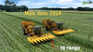 🌽Récolte de maïs doux dans les landes🟡 2x Oxbo🟡   2x transbordeurs