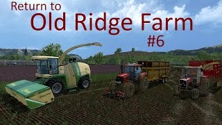 Old Ridge Farm Alfalfa silage