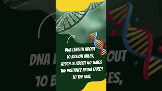 Amazing Facts biological #funfacts #shortvideo #biology #bacteria #amazingfacts