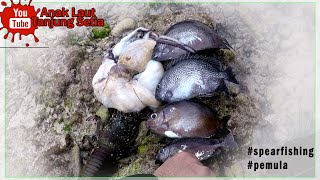 Berburu ikan baronang || Anak Laut || Tanjung Setia