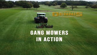 Dennis Gang Mowers in action