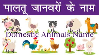 Animals name! जानवरो के नाम!janvaro ke nam