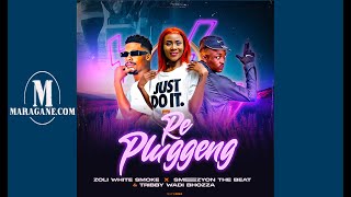 Re Pluggeng - Zoli White smoke ft SmeezyOnthe Beat & Tribby Wadi Bhozza - {Official Audio}