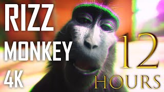 RIZZ MONKEY 4K EDIT 12 HOURS