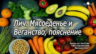 807_Лич. Мясоеденье и Веганство, пояснение