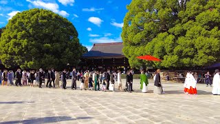 Meiji Shrine - Harajuku Tokyo Japan