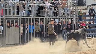 mejores detalles matinal el gallo Plaza de Los Chorros la Vall d'Uixó 1 de abril de 2024