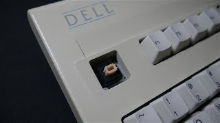 Salmon Alps Switches | Dell AT101 | Vintage Mechanical Keyboard Sound Test | ASMR