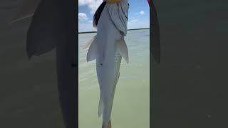 South padre island fishing #fishing #shorts #shortvideo #texasoutdoors #fishnfunoutdoors