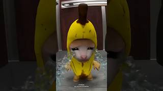 Banana Cat And Whiny Situation (Remastered) -- Edit Music Cover Version--_- #animation #short_edit