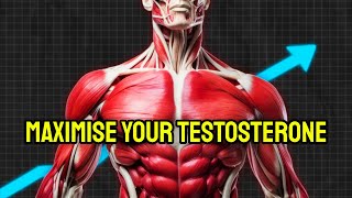 Increase Your Testosterone In 24 Hours (naturally)