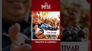 Welcome to “Battle of the Wines” Cantine Paolo Leo 🍷 of Puglia 🇮🇹