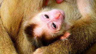 A cute baby boy with pigtails was born to  Libby, and we named him Leo.