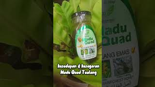 Kelazatan Madu Tualang