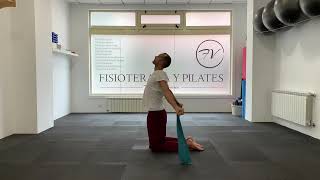 Theraband/gomas. Ejercicio terapéutico con goma. Pilates con theraband.