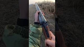 Snipe(бекас) hunting. #hunting #shorts