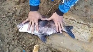 Pesca con caña,  en las playas de Colombia 2020🐟