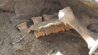 Encuentran restos fósiles en una Plaza de Uyuni