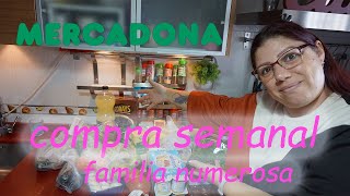 COMPRA SEMANAL MERCADONA////NO ME PARECE TAN CARA!!!