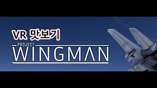 Project Wingman / VR 최적 게임 / 맛보기