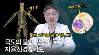 세포의 기능을 저하시키는 자율신경실조증, 극도의 불안과 만성피로로 고통받고 있다면