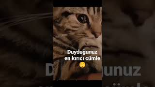 Duyduğunuz en kırıcı cümle neydi??