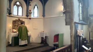 St Gabriel Pimlico 9.30 am Mass Thursday 15th August 2024