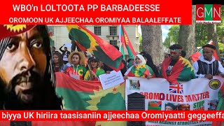 GMN/ 07/03/2024 WBO'n zoonii kibbaa fi giddu galeessaa pp barbadeesse.  hiriira Oromon Uk.#oromo