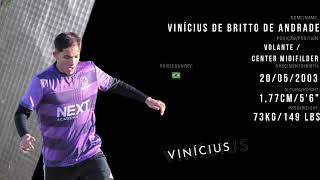 Vinícius Britto - Highlights