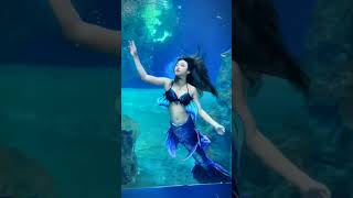 #fypシ #mermaid #shortvideo