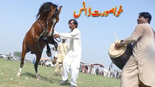 Best horse dance in Punjab/pakistan