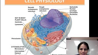 Cell Physiology (Unit 1 - Video 7)