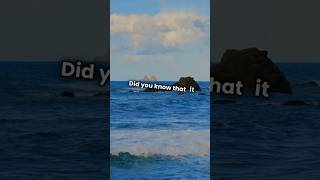 5 Facts about the Ocean 🌊 #shorts #ocean #facts #interestingfacts #foryou #trending