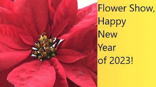 (Video 63) Flower Show | Happy New Year of 2023!