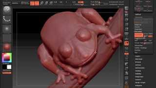 Tree Frog quick sculpt in zBrush