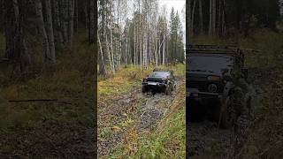 Лебёдка выручает #2024 #automobile #offroad #forest #summer #adventure #природа #нива #лето #лес