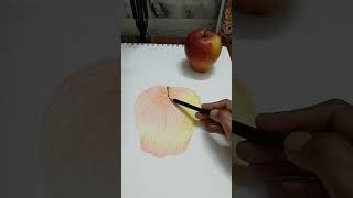 Kashmiri Apple Painting with mixmedia