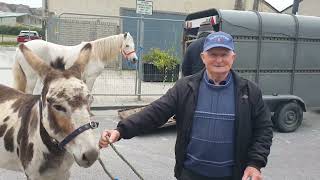 Listowel October horse 🐎 fair 2024 on the 1st Thursday.