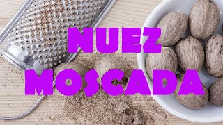 Entendiendo las drogas: Nuez moscada