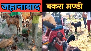 9000 Me Deshi 2 Pathiya Bechi|Bakro ki mandi|Jahanabad Bakra Mandi |Vimalumrao