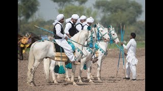 Day 5 Part 13 National championship of Neza Bazi 2018 Faisalabad Agriculture University Tent Pegging