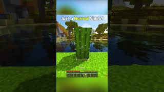 Minecraft Moment | Phonk ☠️ #minecraft #phonk #edit