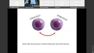 03 Stem cells part1 A