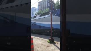 Amtrak Trains in Montreal #Shorts #shortvideo #shorts #shortsfeed #shortsvideo #shortsyoutube